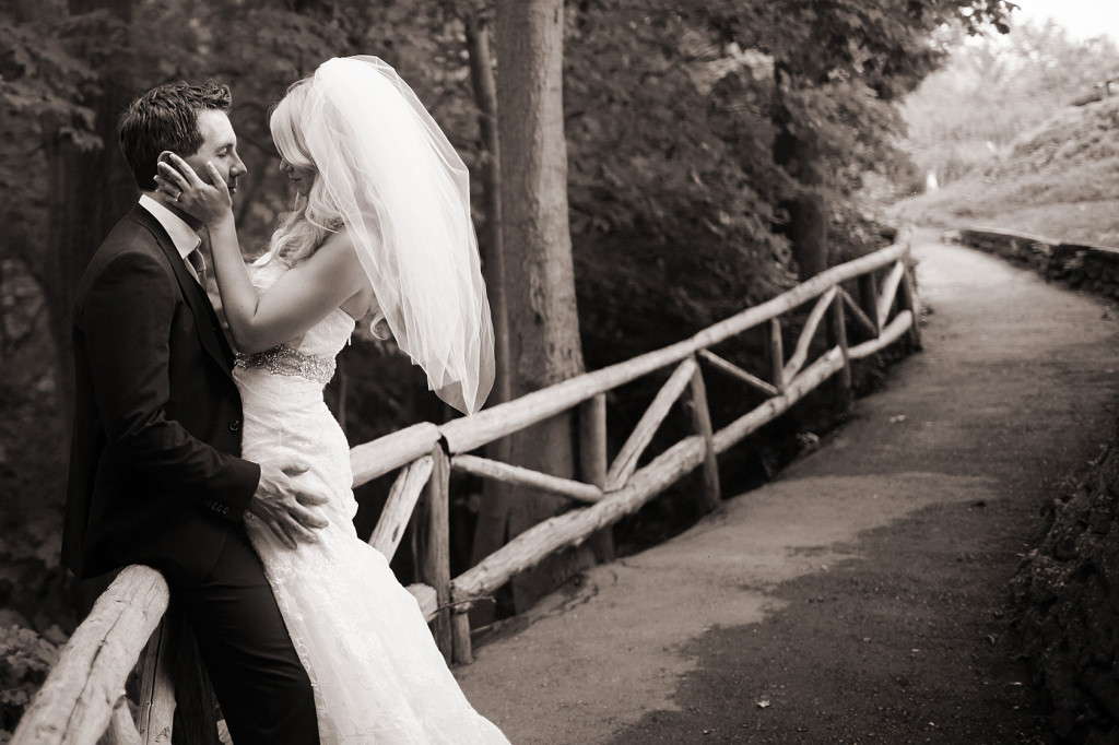 Park_hyatt_wedding_Toronto_botanical_gardens_00036_stephen_sager_photography